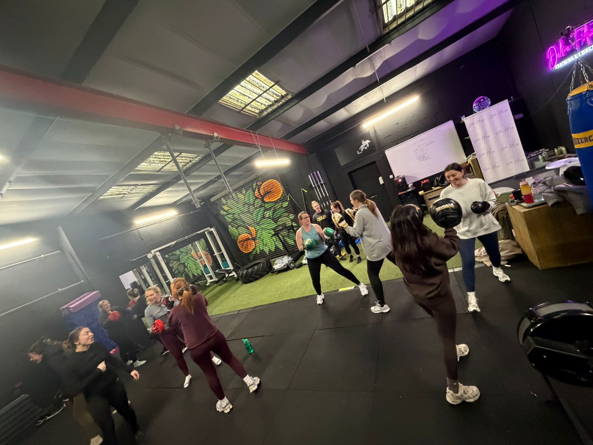 Gym Gallery 2